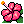 🌺